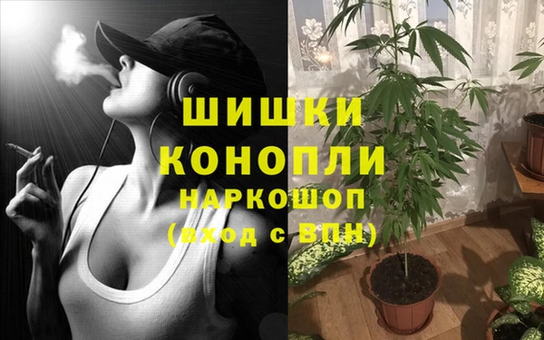 твердый Нягань