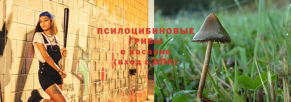 ECSTASY Валдай